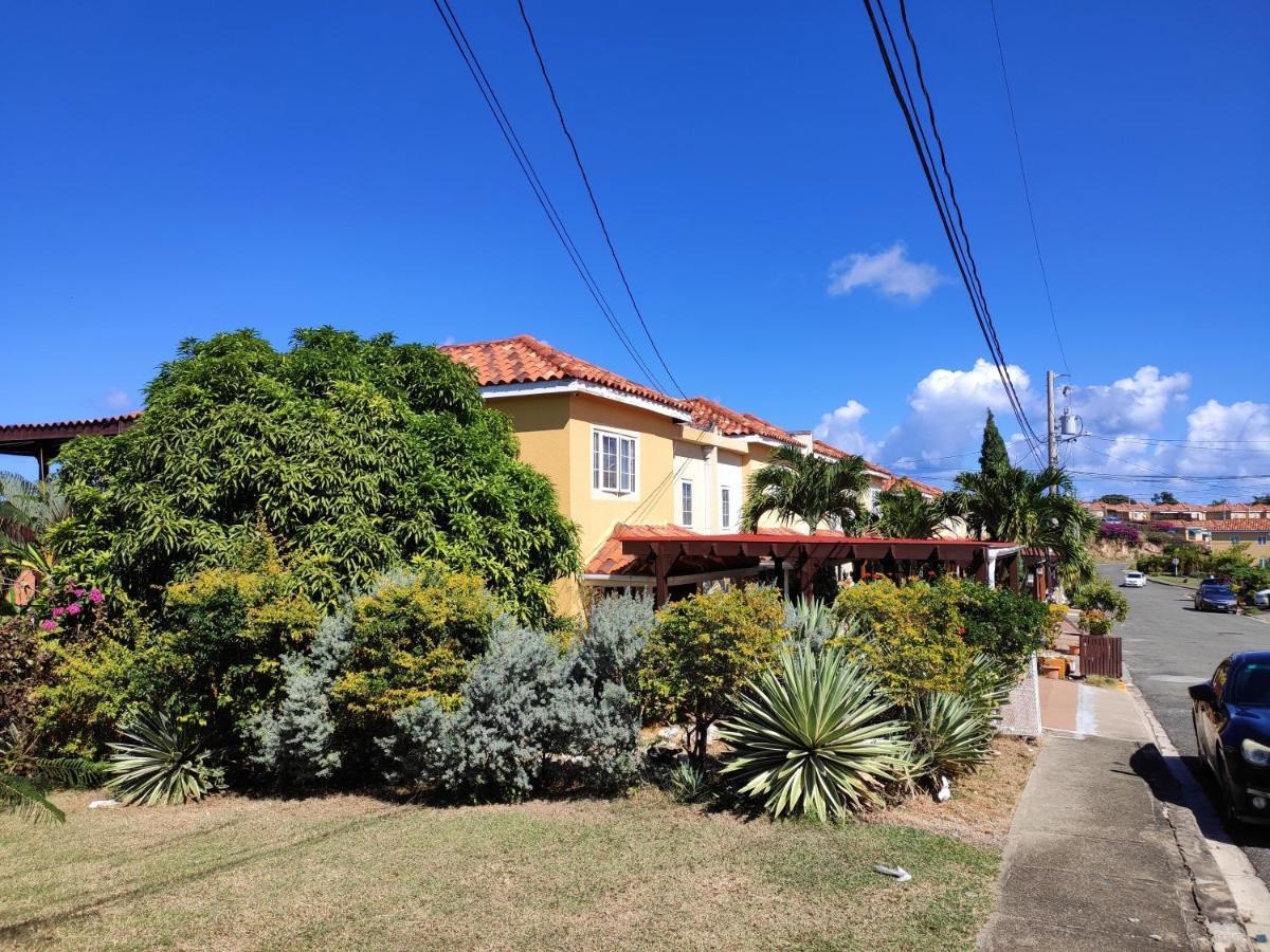 Garden Studio Flat Mango Walk Appartement Montego Bay Buitenkant foto