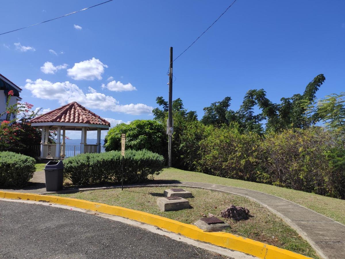 Garden Studio Flat Mango Walk Appartement Montego Bay Buitenkant foto